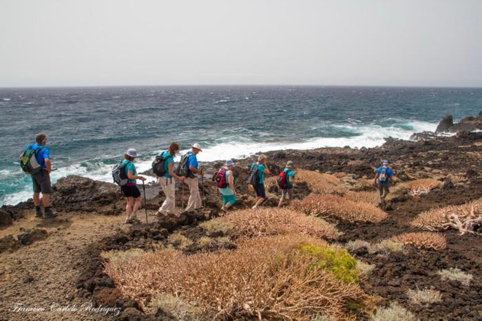 Piso Nuevo En El Puertito De Gueimar Al Lado Del Mar Realizamos Servicio De Excursiones Con Guia Puertito de Guimar Exterior photo
